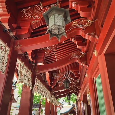 图聚科技